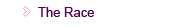 About the Race